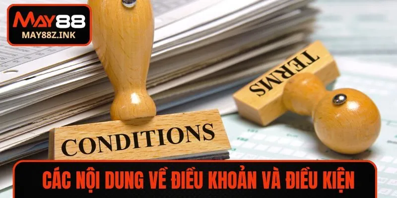 Các nội dung về điều khoản và điều kiện tại hệ thống