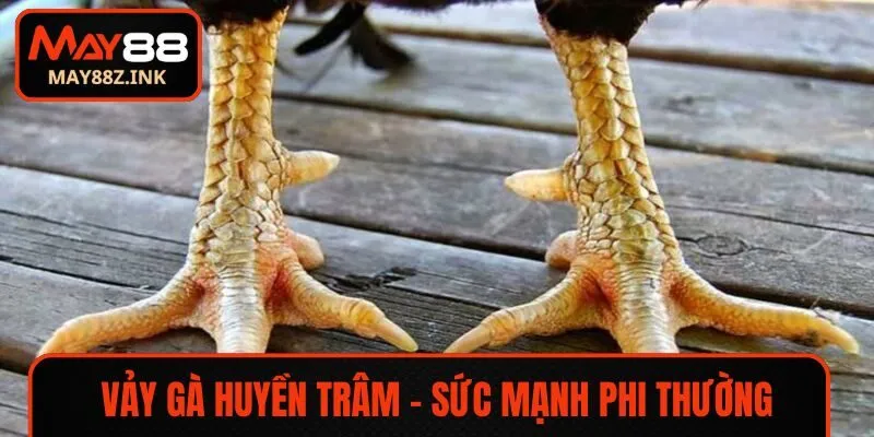 vay ga huyen tram avt