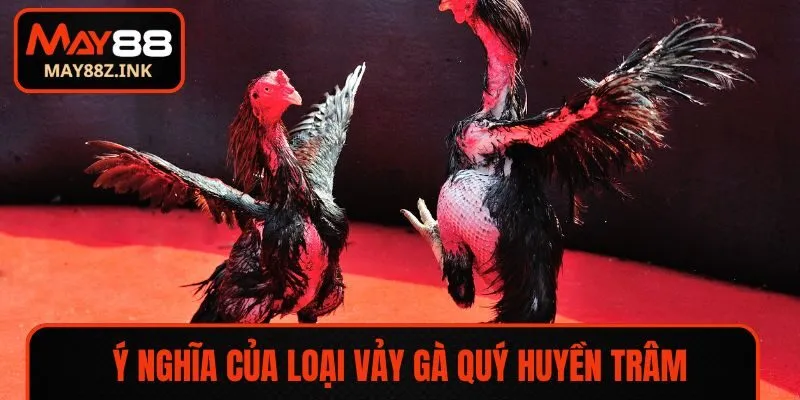 Ý nghĩa của loại vảy gà quý Huyền Trâm