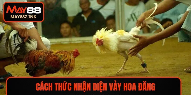 Cách thức nhận diện vảy hoa đăng