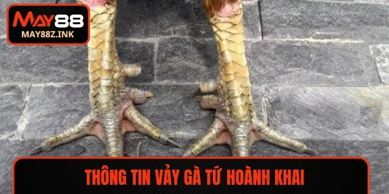 Thông tin vảy gà Tứ Hoành Khai